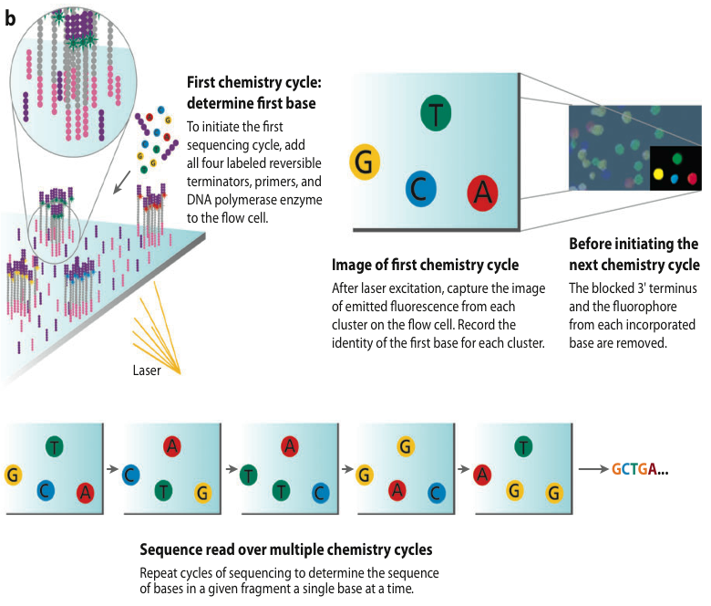 Figure4_b