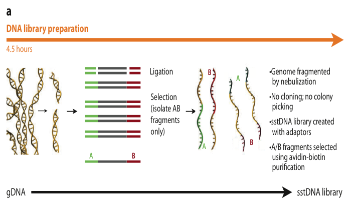 Figure5_a