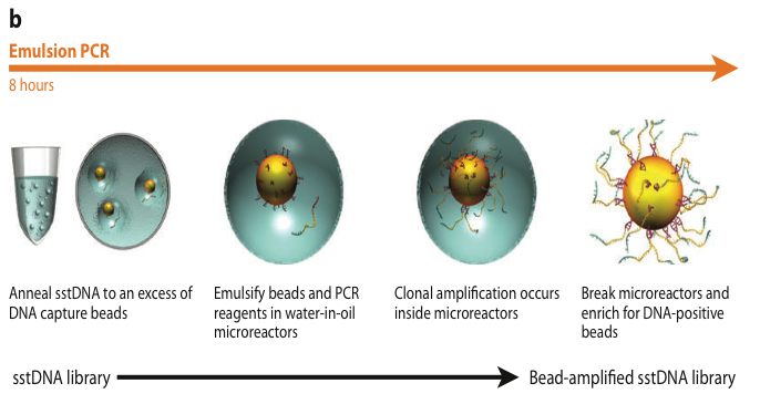 Figure5_b