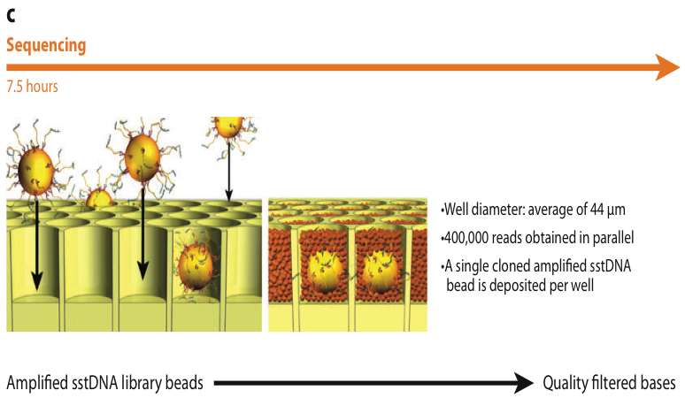 Figure5_c