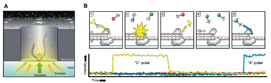 Figure7