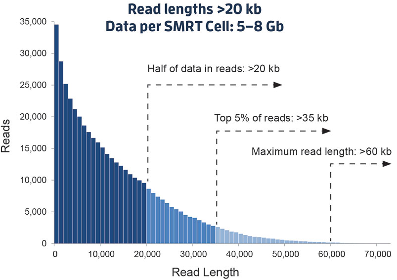图9. PacBio SMRT 测序read读长分布（来源：PacBio官网）