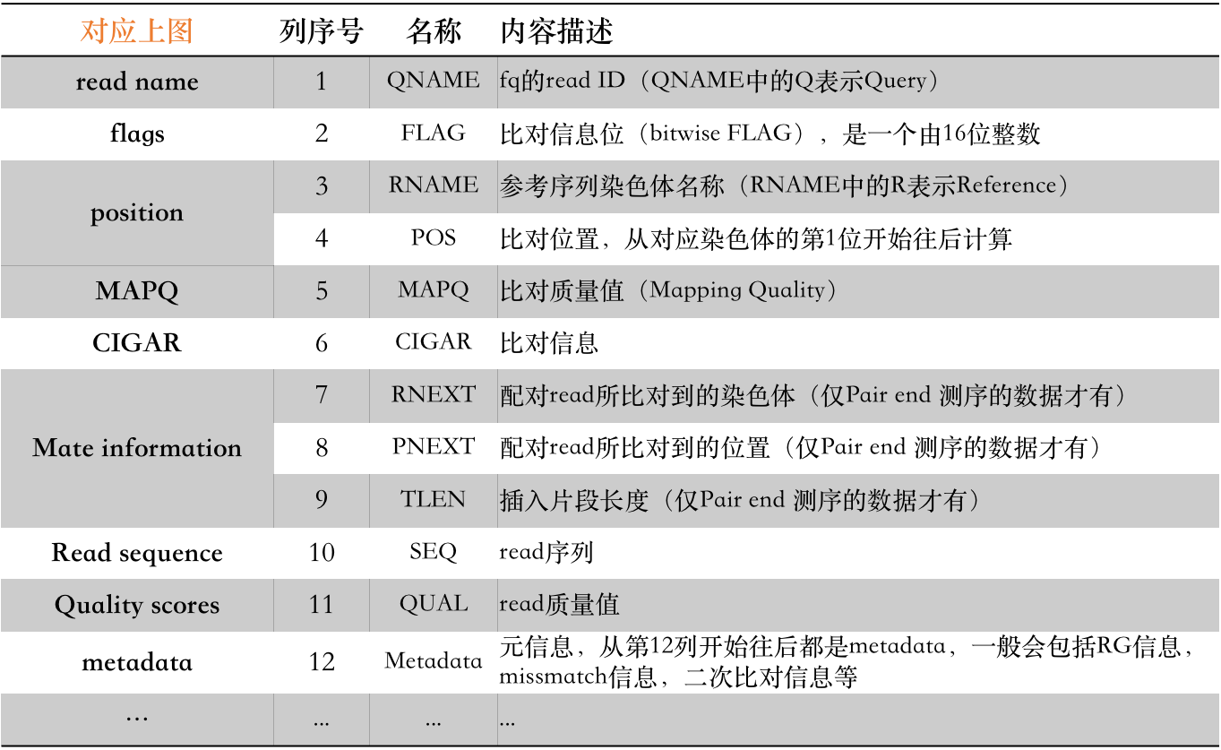 BAM格式