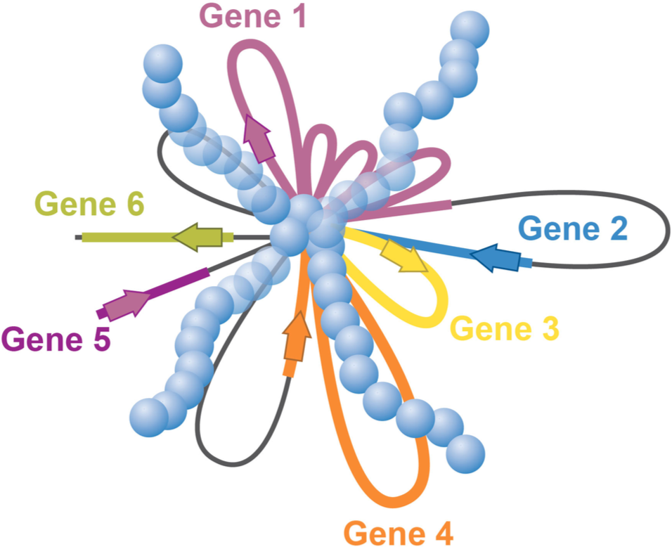 cancer_review_12