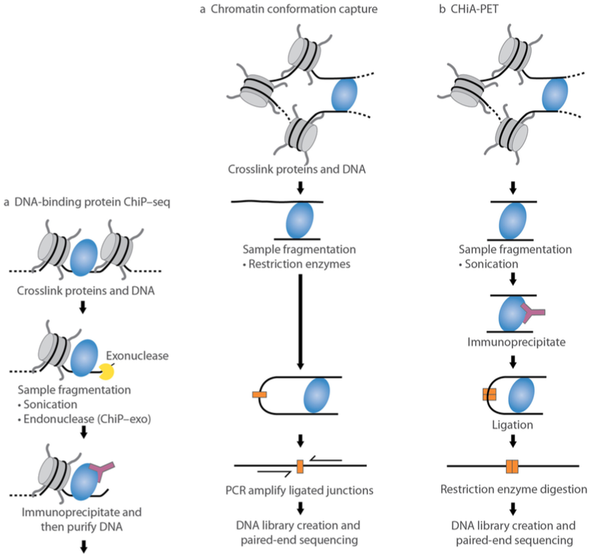 cancer_review_13