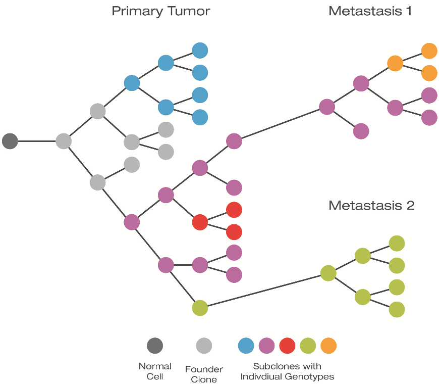 cancer_review_5