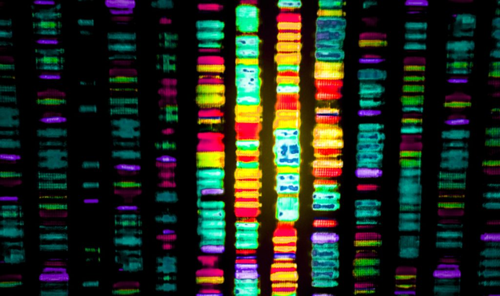 Featured image of post 从零开始完整学习全基因组测序（WGS）数据分析：第1节 测序技术
