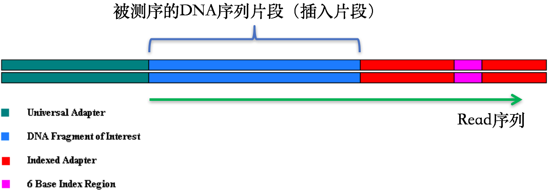 read测通的情况