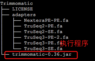 Trimmomatic目录