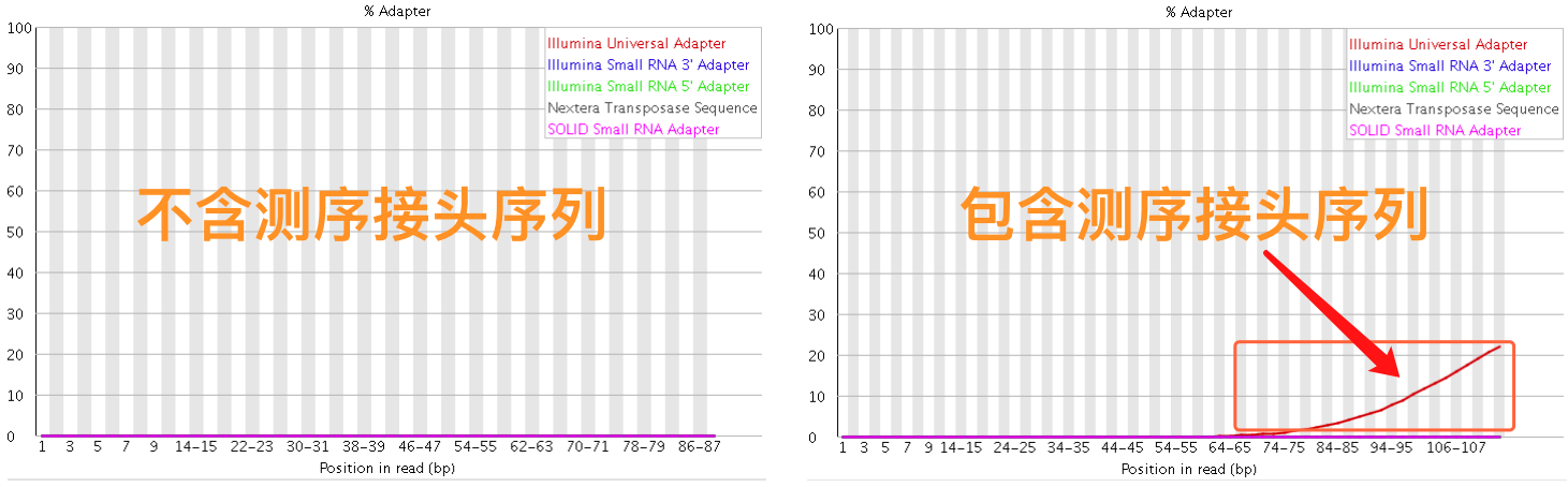 接头序列比较