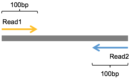 Pair-End 测序