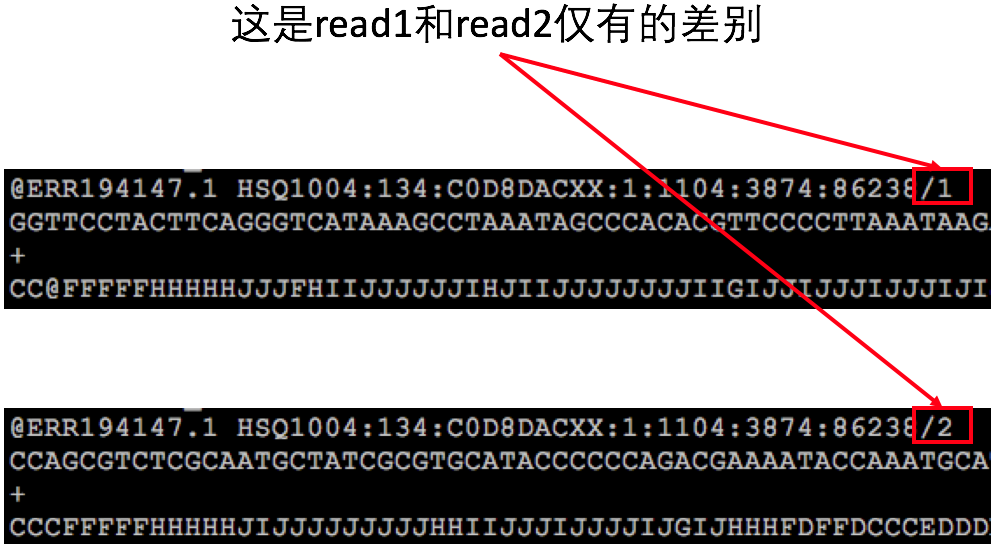 read1 ID和read2 ID的差别