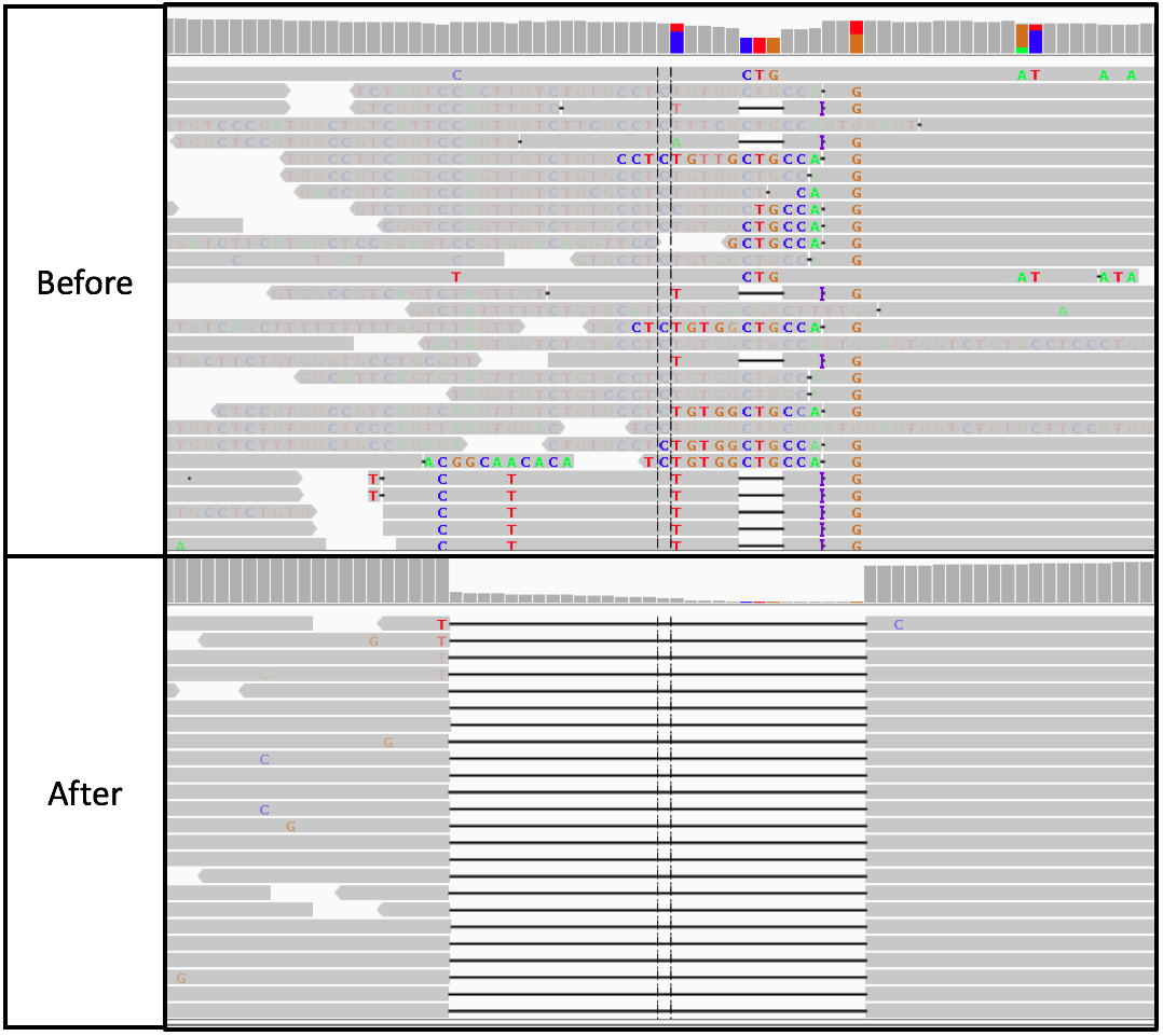 Indel局部重比对的前后的对比