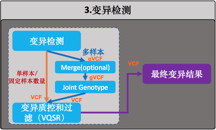 变异检测功能组合